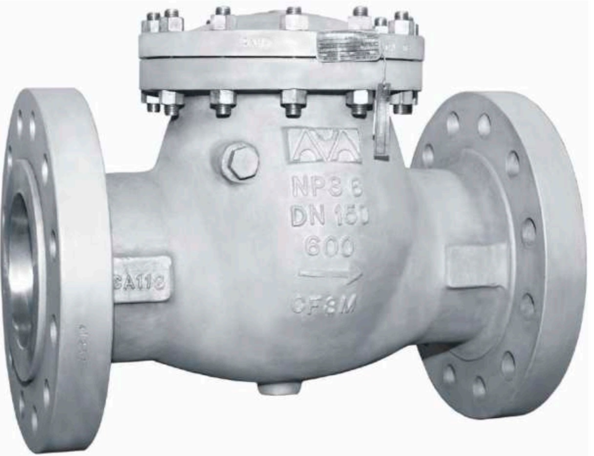 Swing Check Valve - Microfinish Group