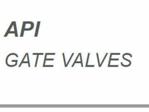 CARILO VALVE-Data sheet API Gate Valve