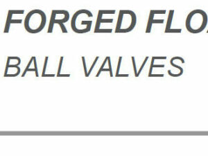 CARILO VALVE Data Sheet Forged Ball Valve floating