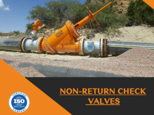 DUAL Non-Return Check Valves 2.0