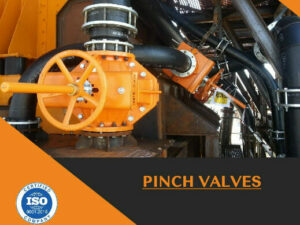 Dual Pinch Valves 2.0