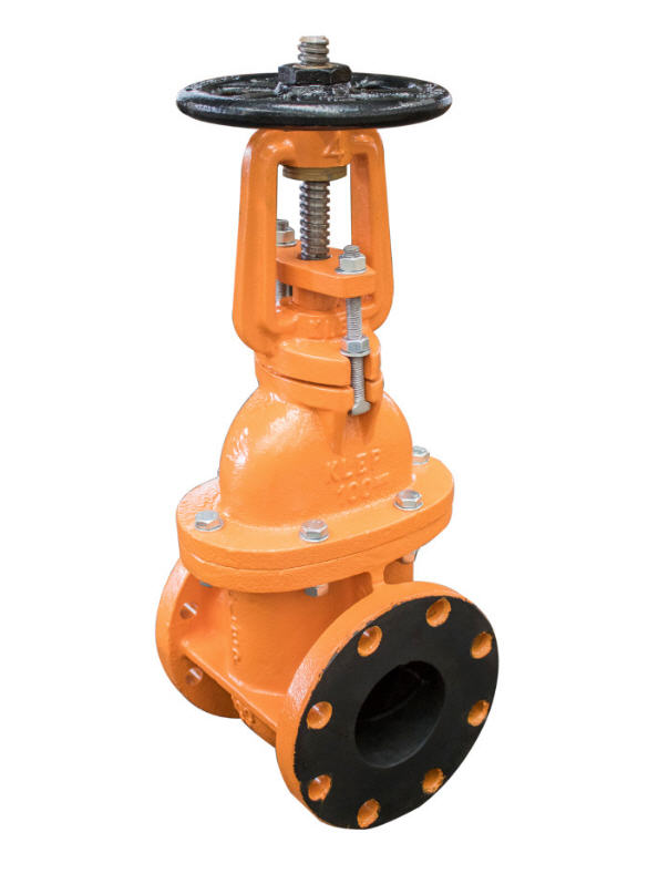 Dual Wedge Gate Valve (DWGV) - Dual Products International South Africa CC