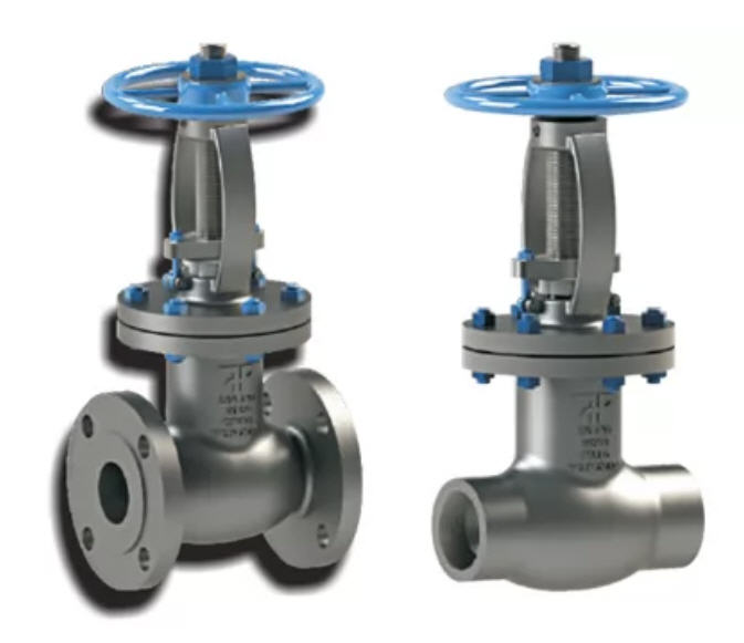 Globe Valve - Forxar Industries