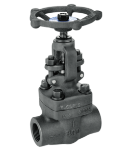 Forged Globe Valve - Global Flow Control