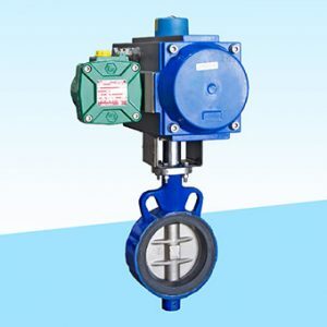 Centric Butterfly Valve - Integral Process Controls India