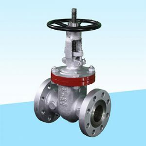 Cast Steel Gate Valve - Integral Process Controls India