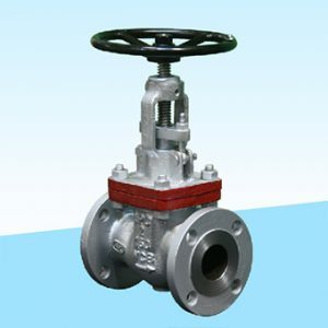 Cast Steel Globe Valve - Integral Process Controls India