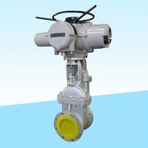 Electrically Operated Gate Valve - Integral Process Controls India