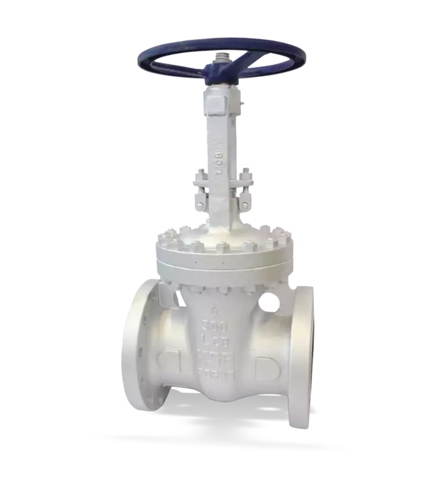 Gate Valve ECOLINE GTC 150-600 - KSB Tech Pvt. Ltd.