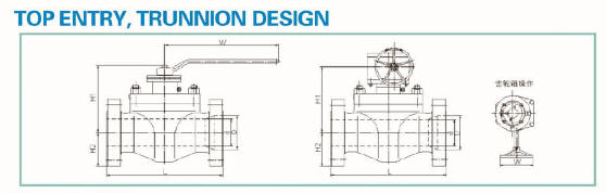 Trunnion Ball Valve, Top Entry - Pantech Southern Inc